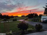 2515 Bird View Road - Photo 66