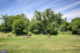 1009 Willowbrook Drive - Photo 35