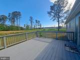 34798 Mint Place - Photo 12