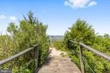20947 Ridge Road - Photo 48