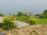203 Turtle Cove - Photo 34