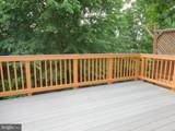 24753 Carbonate Terrace - Photo 38