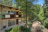 4203 Americana Drive - Photo 3