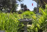 1106 Village Road - Photo 41