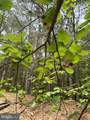 0 Nanticoke Road - Photo 11