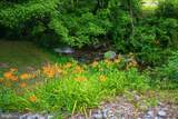 169 Creek Road - Photo 34