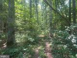 5517 Forest View Drive - Photo 4