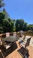 2313 Crosslanes Way - Photo 4