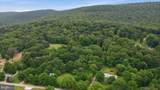 2529 Chestnut Grove Road - Photo 46