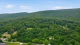 2529 Chestnut Grove Road - Photo 50