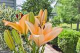 36069 Blackfin Drive - Photo 60