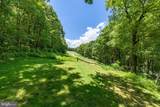 75 Forest Drive - Photo 50