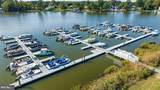 33476 Daisy Street - Photo 49