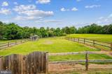 25501 Frosty Meadow Lane - Photo 14