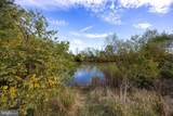 42 Magellan Drive - Photo 45