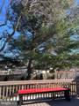 410 Hummer Court - Photo 42