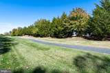 29833 Hillary Avenue - Photo 47