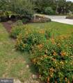 3521 Sandpiper Road - Photo 71