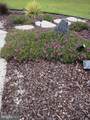 3521 Sandpiper Road - Photo 73