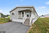 5 Evergreen - Photo 6