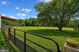 875 Locust Grove Road - Photo 4