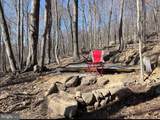 1515 Barnum Road - Photo 26