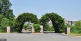 19375 Cypress Ridge Terrace - Photo 53