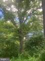 5353 Cito Road - Photo 12