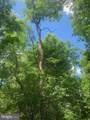 5353 Cito Road - Photo 14