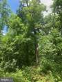 5353 Cito Road - Photo 15