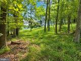 Lot B Loch Deer Road - Photo 7
