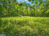 Lot B Loch Deer Road - Photo 8