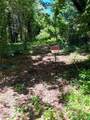 4111 Old Muddy Creek Road - Photo 10