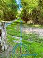 4111 Old Muddy Creek Road - Photo 12