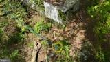 4111 Old Muddy Creek Road - Photo 17