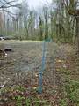 4111 Old Muddy Creek Road - Photo 19