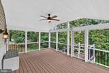 4678 Stallion Court - Photo 14