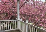 203 1ST Street - Photo 45