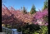 203 1ST Street - Photo 47