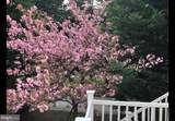 203 1ST Street - Photo 48