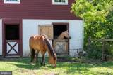12 Alexis Lane - Photo 41