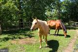 12 Alexis Lane - Photo 45