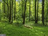  Country Creek Lane - Photo 15