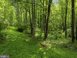  Country Creek Lane - Photo 16