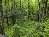  Country Creek Lane - Photo 18