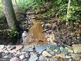  Locust Grove Drive - Photo 14