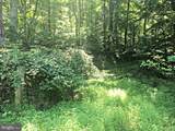  Locust Grove Drive - Photo 4