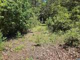  Manteo Rd - Photo 1