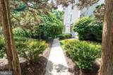 12110 Cardamom Drive - Photo 15