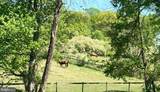 2275 Strasburg Road - Photo 1